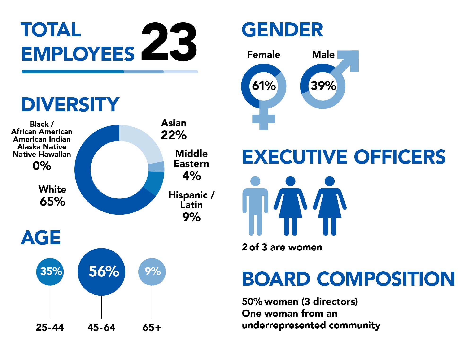 Diversity Chart; 23 Employees; Diversity 65% White, 22% Asian, 4% Middle-Eastern; 9% Hispanic/Latin